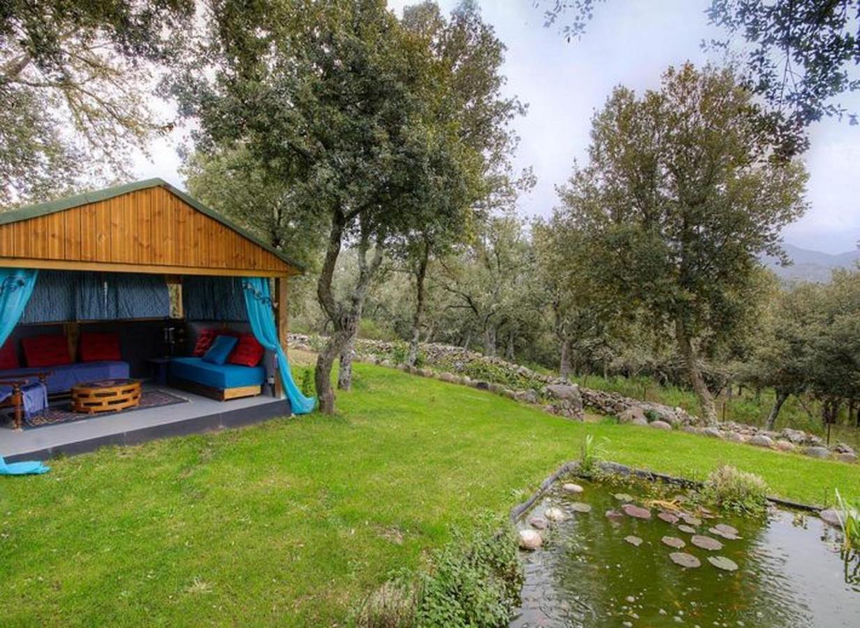 Studio Confortable Avec Vue Sur La Montagne A Moltifao 30M² Jardin エクステリア 写真