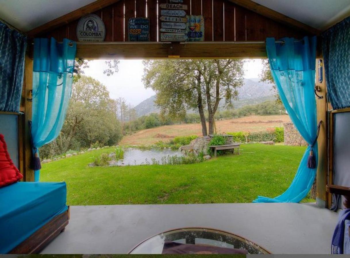 Studio Confortable Avec Vue Sur La Montagne A Moltifao 30M² Jardin エクステリア 写真