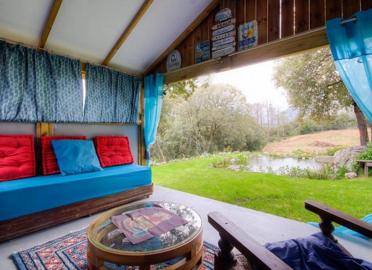 Studio Confortable Avec Vue Sur La Montagne A Moltifao 30M² Jardin エクステリア 写真