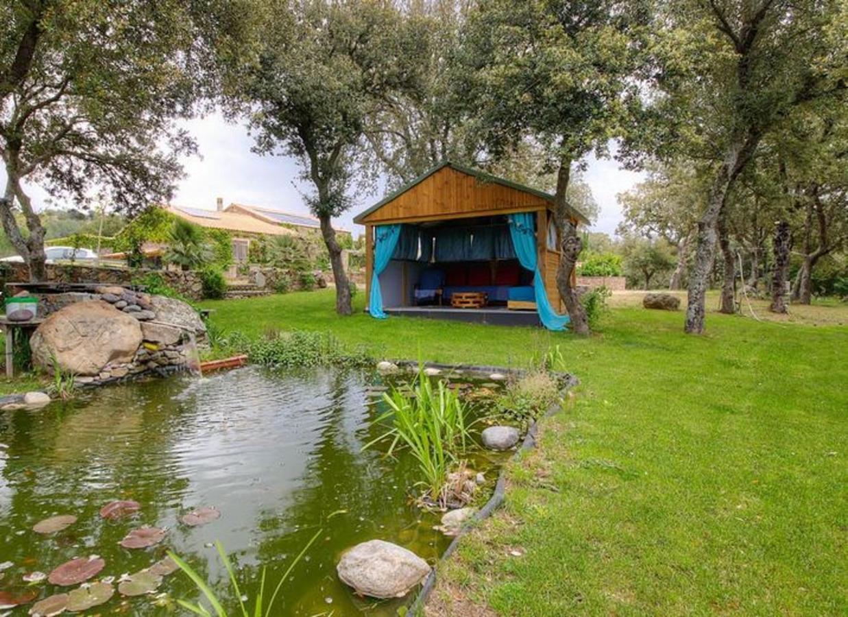 Studio Confortable Avec Vue Sur La Montagne A Moltifao 30M² Jardin エクステリア 写真