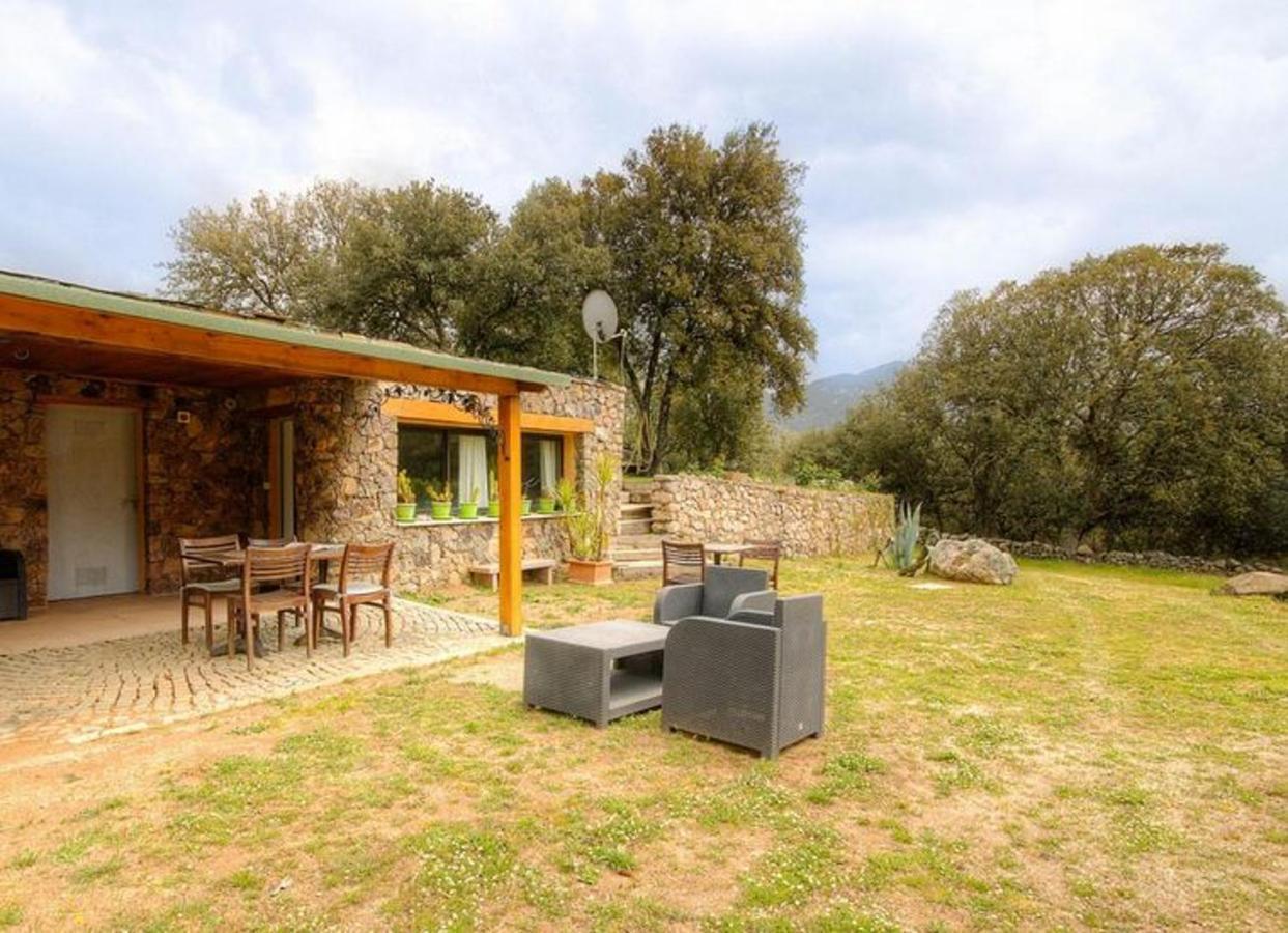 Studio Confortable Avec Vue Sur La Montagne A Moltifao 30M² Jardin エクステリア 写真